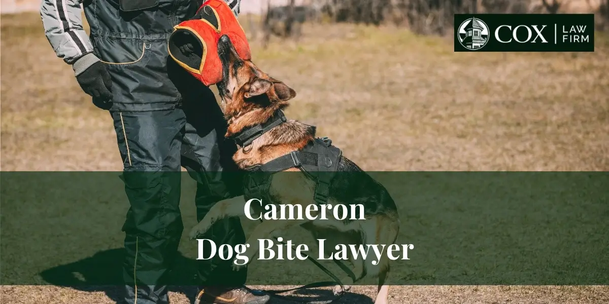 Cameron Dog Bite Lawyer