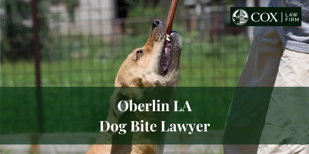 Oberlin LA Dog Bite Lawyer