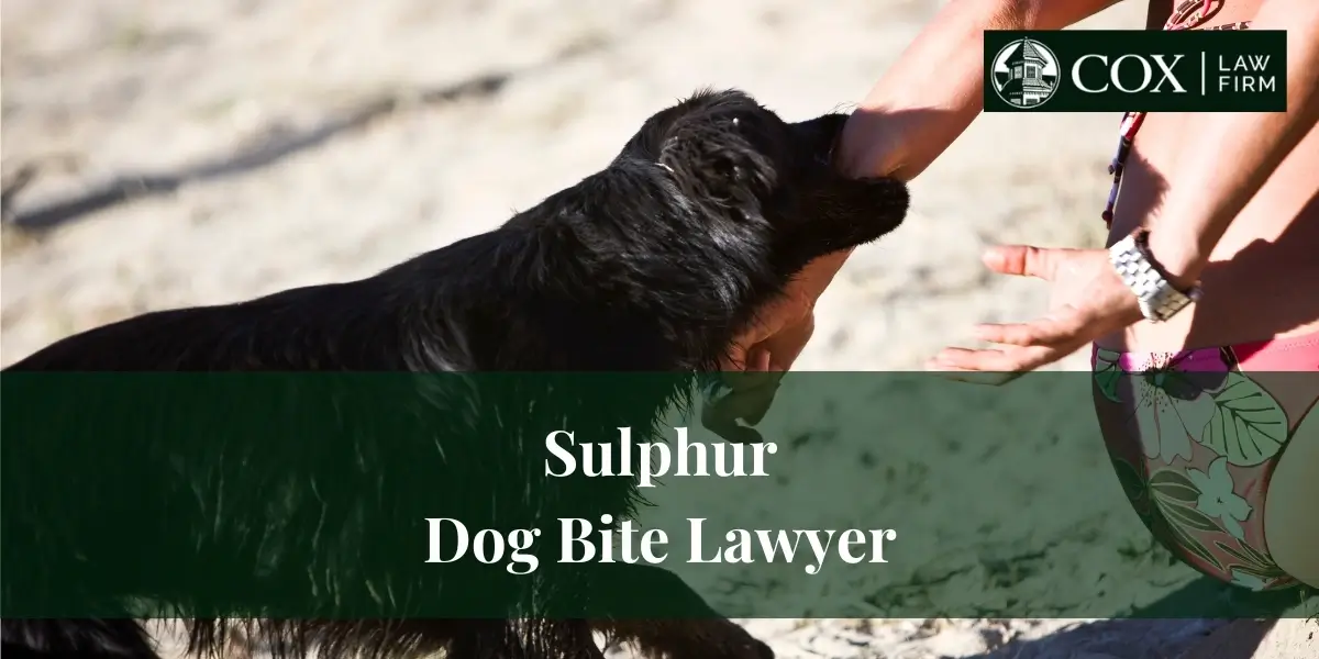 Sulphur Dog Bite Lawyer