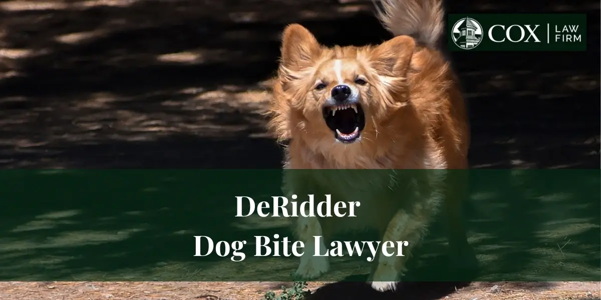 DeRidder Dog Bite Lawyer