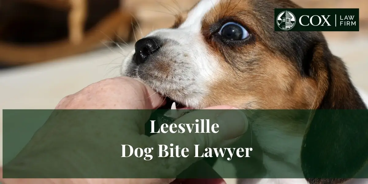 Leesville Dog Bite Lawyer