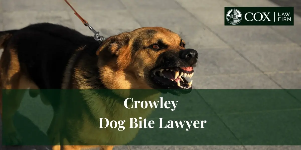 Crowley Dog Bite Lawyer